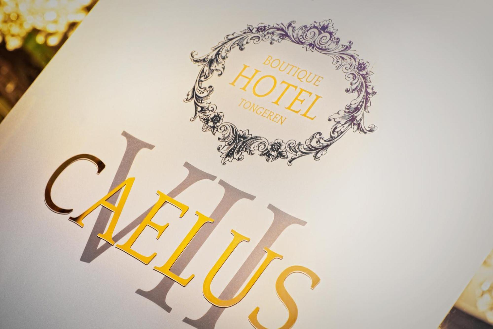 Boutique Hotel Caelus VII Tongres Extérieur photo